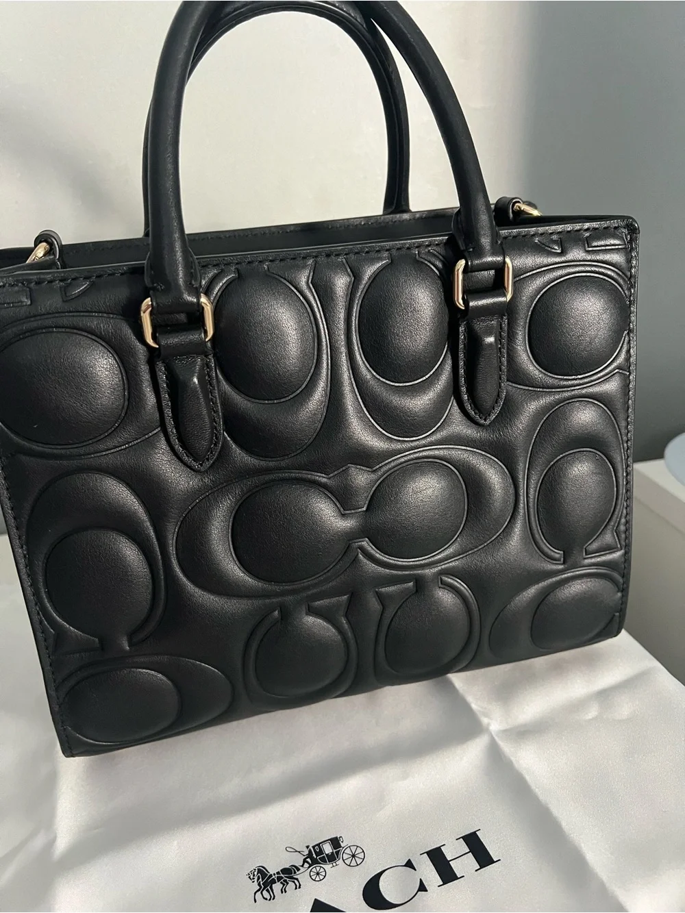 Coach Small Maggie Bag In Signature Leather